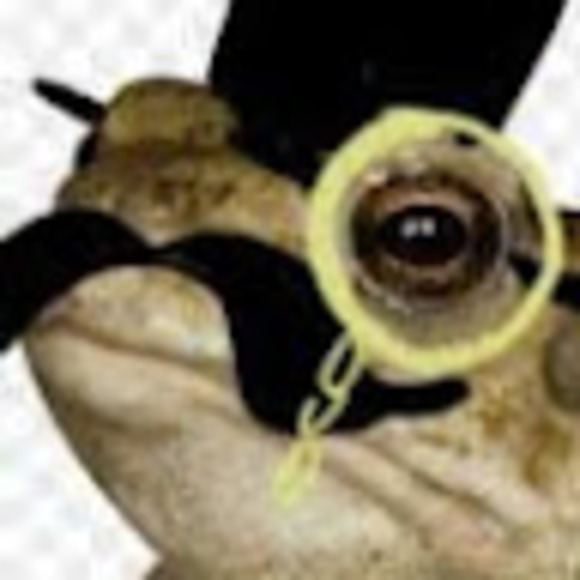 loongusgd